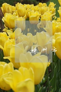 株洲市南区法院上班时间 株洲市南区法院上班时间