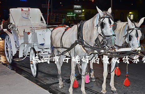 株洲市口碑好的债权债务律师 株洲市口碑好的债权债务律师