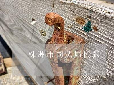 株洲市司法局长张 株洲市司法局长张