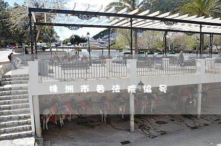 株洲市各法院编号 株洲市各法院编号