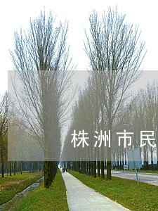株洲市民中心交通违法业务