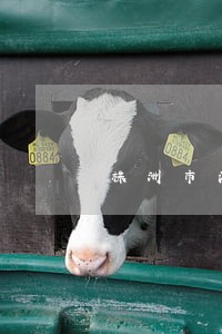 株洲市法院上班时间