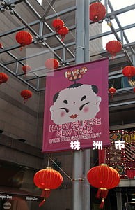 株洲市法院拍卖是哪个网站 株洲市法院拍卖是哪个网站