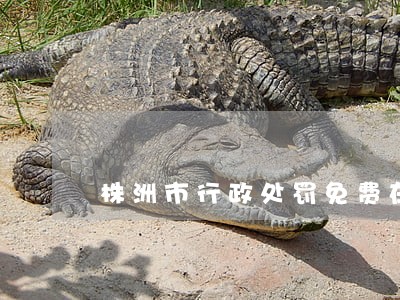 株洲市行政处罚免费在线律师咨询 株洲市行政处罚免费在线律师咨询