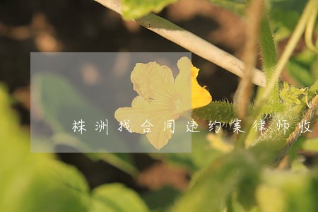 株洲找合同违约案律师收费标准 株洲找合同违约案律师收费标准