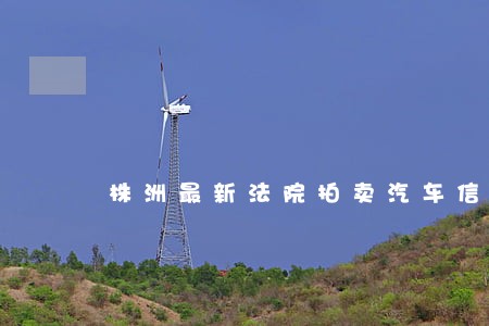 株洲最新法院拍卖汽车信息 株洲最新法院拍卖汽车信息