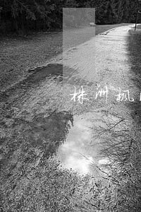 株洲枫溪鉴定 株洲枫溪鉴定
