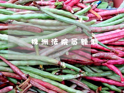 株洲法院员额制 株洲法院员额制