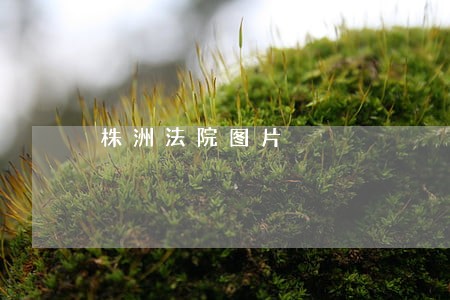 株洲法院图片