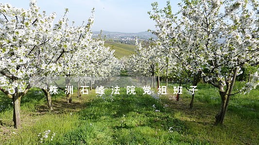 株洲石峰法院党组班子 株洲石峰法院党组班子