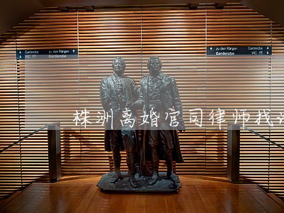株洲离婚官司律师找谁好 株洲离婚官司律师找谁好
