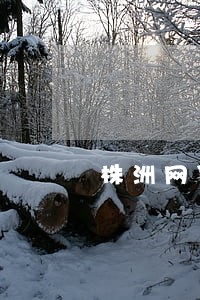 株洲网贷逾期债务重组怎么协商 株洲网贷逾期债务重组怎么协商