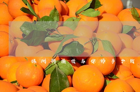 株洲聘请债务律师多少钱 株洲聘请债务律师多少钱
