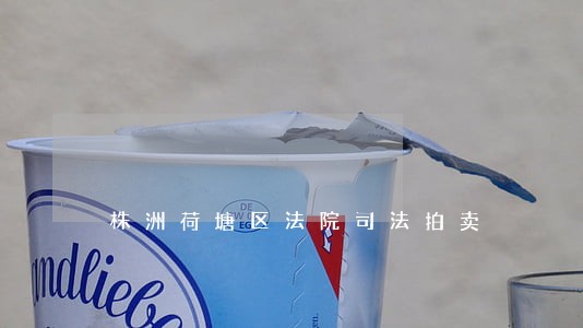 株洲荷塘区法院司法拍卖 株洲荷塘区法院司法拍卖