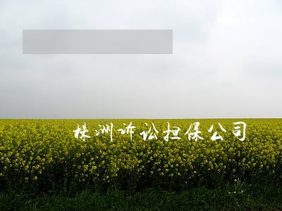 株洲诉讼担保公司