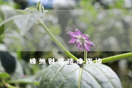 株洲财信法律咨询 株洲财信法律咨询