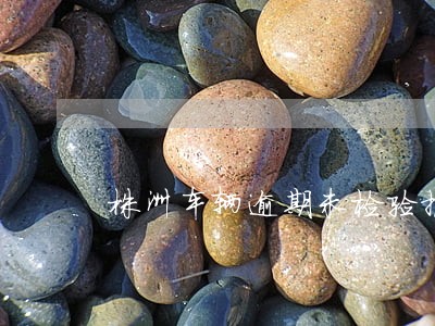 株洲车辆逾期未检验报废怎么注销