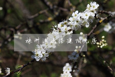 株洲违法搭建阳光房