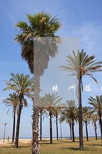 株洲银行律师在线免费咨询 株洲银行律师在线免费咨询
