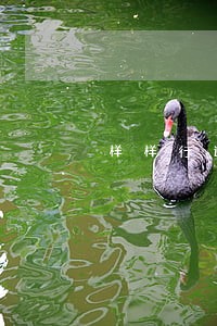 样样行逾期后果 样样行逾期后果