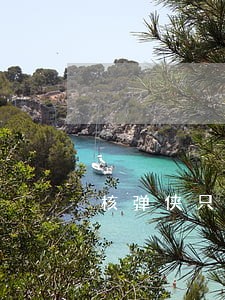 核弹侠只还本金可以吗