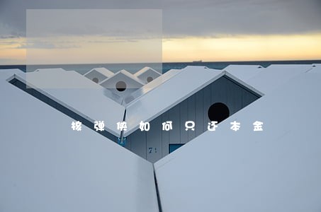 核弹侠如何只还本金 核弹侠如何只还本金