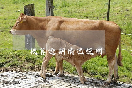 核算逾期情况说明 核算逾期情况说明