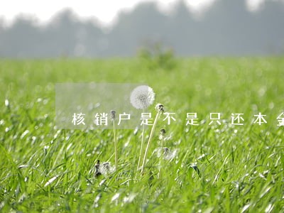 核销户是不是只还本金就可以 核销户是不是只还本金就可以