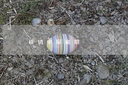 核销申报逾期 核销申报逾期