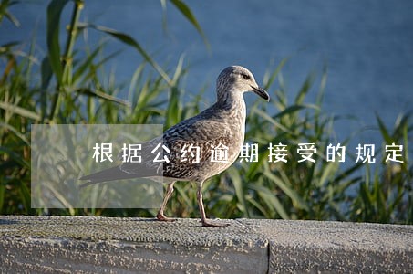 根据公约逾期接受的规定 根据公约逾期接受的规定