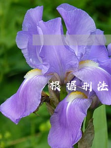 根据刑法信用卡逾期判刑 根据刑法信用卡逾期判刑