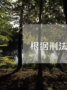 根据刑法罪刑法定原则 根据刑法罪刑法定原则