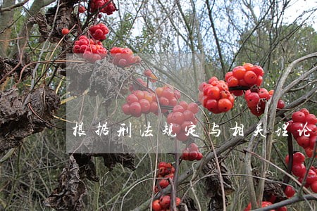 根据刑法规定与相关理论