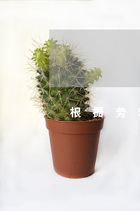 根据劳动合同法第十条 根据劳动合同法第十条