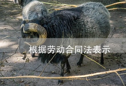 根据劳动合同法表示 根据劳动合同法表示