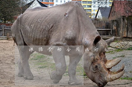根据劳动合同法订立 根据劳动合同法订立