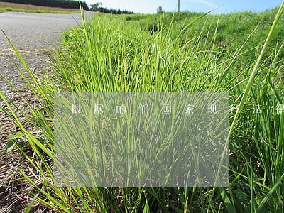 根据咱们国家现行法律规定 根据咱们国家现行法律规定