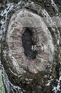 根据国家法规政策 根据国家法规政策