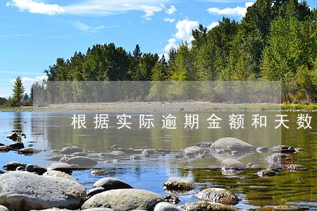 根据实际逾期金额和天数 根据实际逾期金额和天数