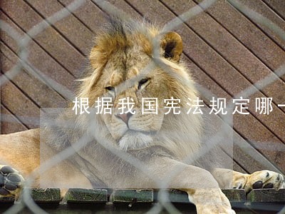 根据我国宪法规定哪一个属于