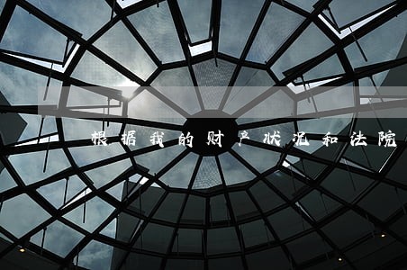 根据我的财产状况和法院判决书 根据我的财产状况和法院判决书
