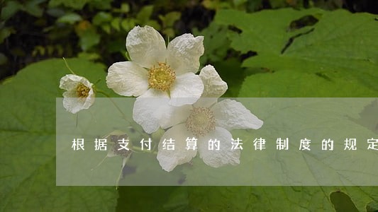 根据支付结算的法律制度的规定 根据支付结算的法律制度的规定