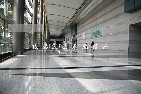 根据民法基础理论 根据民法基础理论