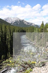 根据民法总则的代理分为 根据民法总则的代理分为