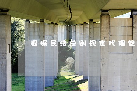 根据民法总则规定代理包括