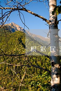 根据民法总则规定数据电文 根据民法总则规定数据电文