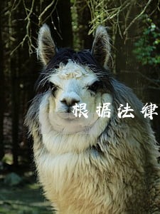 根据法律法规法人要承担责任吗 根据法律法规法人要承担责任吗
