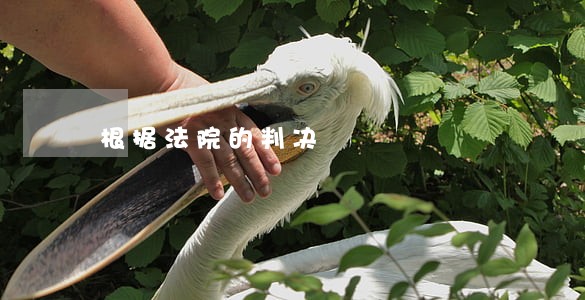 根据法院的判决 根据法院的判决