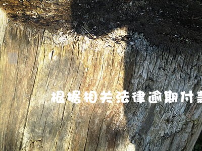 根据相关法律逾期付款 根据相关法律逾期付款
