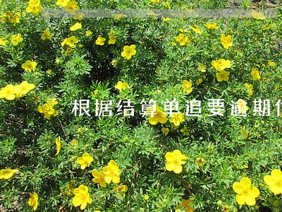 根据结算单追要逾期付款违约金 根据结算单追要逾期付款违约金